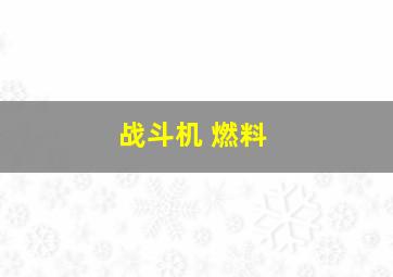 战斗机 燃料